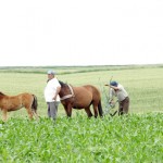 Taranii, din saraci, si mai saraci