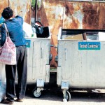 „Pescari“ la container