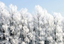 Prognoza meteo pentru această săptămână: Nu scăpăm de ger!