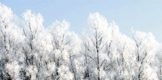 Avertizări meteo ANM: ninsori abundente, viscol și ger