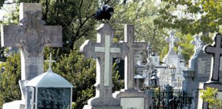 Ofertele de cumpărare a unui teren pentru noul cimitir în Vaslui, respinse la vot