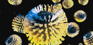 FEMEIE SUSPECTĂ DE CORONAVIRUS LA LUNCA BANULUI. ÎNTREGA FAMILIE IZOLATA