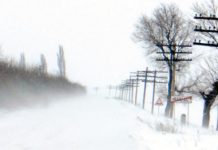 Județul Vaslui, sub alertă meteo de vânt puternic, polei și ninsori