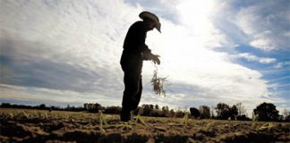 Vine primăvara: Meteorologii au emis prognoza pentru următoarele patru săptămâni