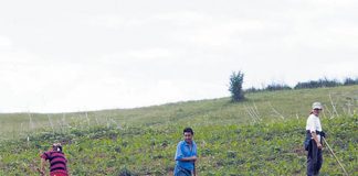 România concentrează 23% din forța de muncă în agricultură din UE; 44% dintre fermieri au peste 65 de ani