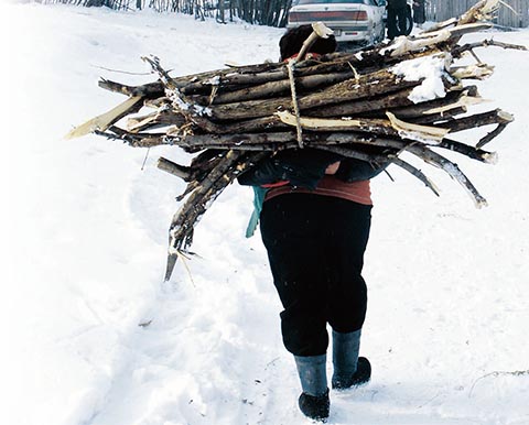 vasluieni_in_frig