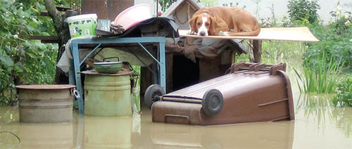 inundatii_vaslui