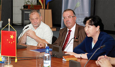 vaslui_china