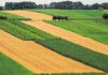 31 august este termenul-limită pentru vizarea carnetelor și depunerea documentelor rentierilor agricoli