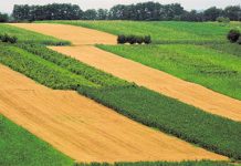 31 august este termenul-limită pentru vizarea carnetelor și depunerea documentelor rentierilor agricoli