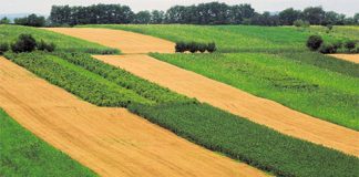 31 august este termenul-limită pentru vizarea carnetelor și depunerea documentelor rentierilor agricoli