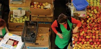 44 de producători vor vinde legume în piețele din județ