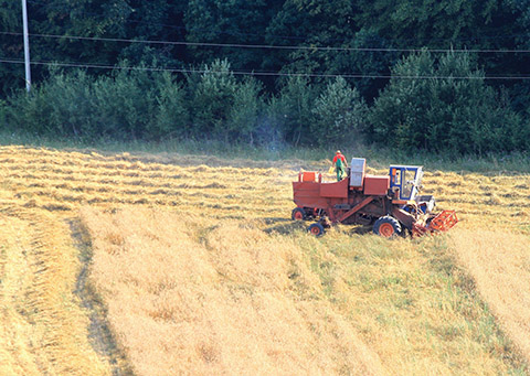 agricultura