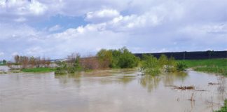 Bărbat dat dispărut de familie în urmă cu o lună, găsit înecat în râul Bârlad