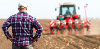 Agricultorilor vasluieni le e tot mai greu: Județul nostru e pe locul 3 la insolvențe în agricultură, pe fondul concurenței din Ucraina și scumpirilor