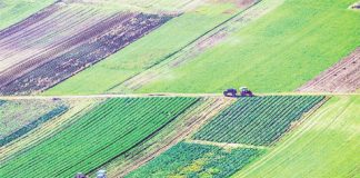 Termenul cererilor de despăgubiri pentru secetă, prelungit până la 1 august