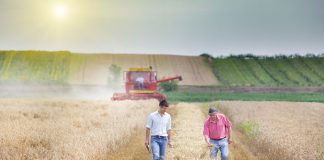 Dovada că se poate: O cooperativă agricolă din județ, selectată să primească 4 milioane de euro de la UE