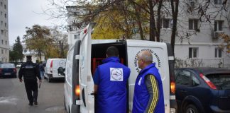 Iubitorii de caini din Barlad, agresivi cu oamenii