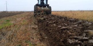 Campania de toamna, aproape de finalizare. Seceta ii ?ine in sah pe agricultori