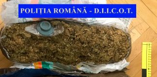 Captura impresionanta de droguri a politistilor vasluieni: peste 3,5 kg canabis!