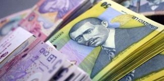 Primarii vasluieni, buni gospodari ai bugetelor proprii