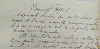 Copiii Vasluiului in vremea foametei din 1946-1947 si evacuarea lor in judetul Arad (I)