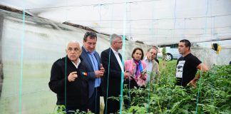 Vizita ministrului Daea la Vaslui, explicata pas cu pas