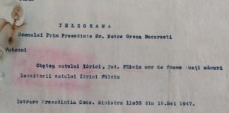 Foametea din 1946-1947 in judetul Falciu. Mortii nimanui