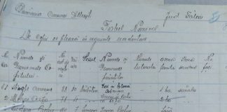 Foametea din 1946-1947 la Corni-Albesti. Lupta pentru viata