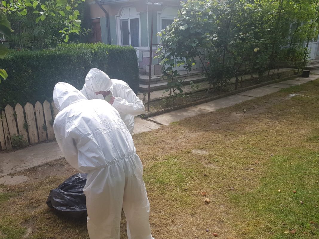 Pesta porcina africana a ajuns si in judetul Vaslui