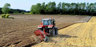 Fermierii vasluieni, peste ieseni, la creditele agricole garantate APIA