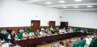 Daca Guvernul nu da, o face Consiliul Judetean!