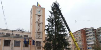 Primăria Bârlad apelează la „spiritul civic” pentru bradul de Crăciun