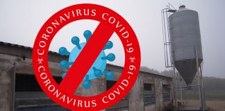 Finanțările în agricultură, puternic lovite de Covid-19