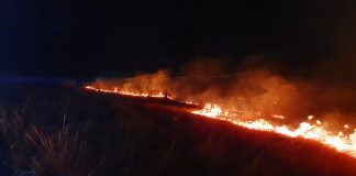 Incendierea miriștilor în era… codurilor de vânt: riscurile cresc exponențial!