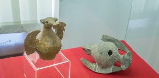 Premieră în cultura bârlădeană: expoziție fără vernisaj, vizionată doar online!