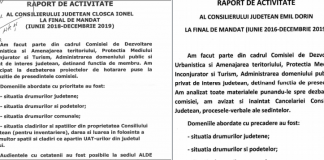 Consilierii „copy-paste” și rapoartele lor minunate