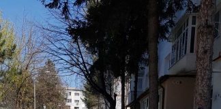 Trotuarele și aleile Vasluiului, în reabilitare