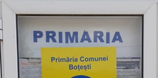 Internet gratuit la Boțești