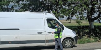 Preț record plătit pentru un permis fals. Degeaba!