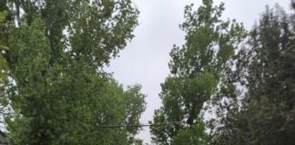 Polițiștii locali din Bârlad, în grevă japoneză