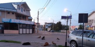 Controlul Curții de Conturi la Primăria Bârlad, nereguli pe bandă rulantă și pe bani publici