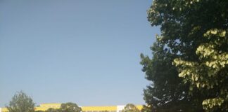 Deschideți Spitalul din Bârlad și nu vă mai bateți joc de soarta bolnavilor non-Covid!