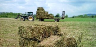 Fermierii vasluieni, fruntași la depunerea cererilor unice de subvenții agricole pentru anul 2020