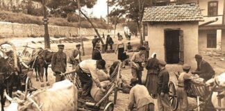 Foametea din 1946-1947 în comuna Stănilești: mărturia cutremurătoare a unui supraviețuitor