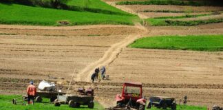 Speranțe pentru modernizarea agriculturii vasluiene