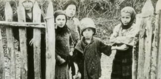 Marea foamete din 1946-1947 în comuna Drânceni: „Moartea zace lângă noi pe prispă, cu coasa pregătită”