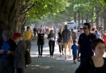 Populaţia rezidentă la 1 ianuarie 2025 a scăzut