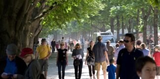 În județul Vaslui există cele mai puține ONG-uri
