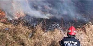 Un incendiu a mistuit mai multe hectare în Miclești